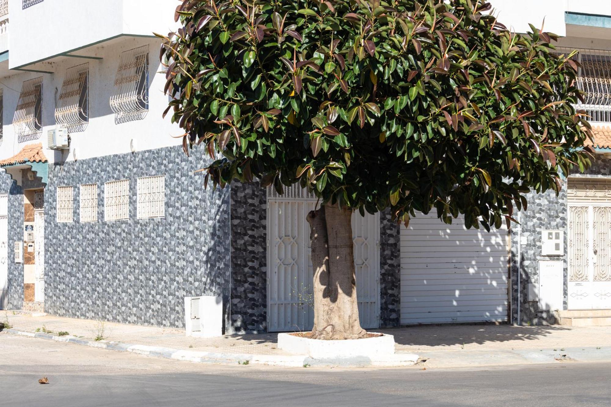Tétouan Appartements Calmes Et Spacieux מראה חיצוני תמונה